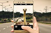 Huawei ostrich