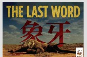 TheLastWord