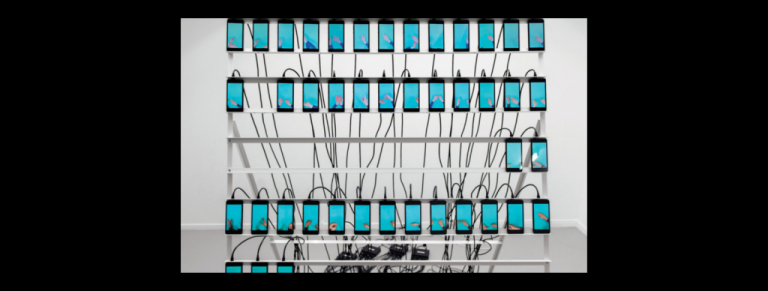 NY Mag - Featured image