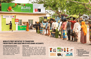 UCB Shwapno Project AgroBanking Grey