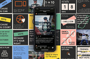 meddle in the new zealand election bn