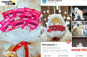 himalaya vajomba yeti marketing magazine naga ddb