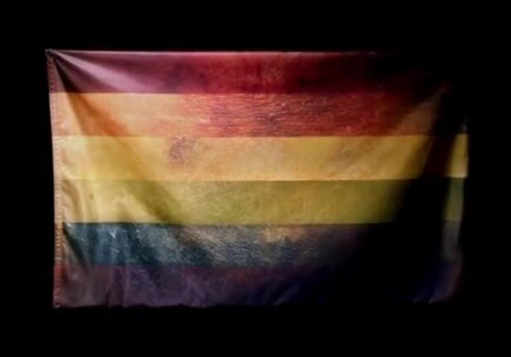 campaigning with pride mark tungate